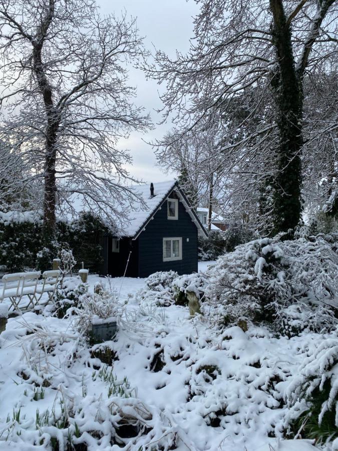 Garden Find Zandvoort Bentveld Экстерьер фото